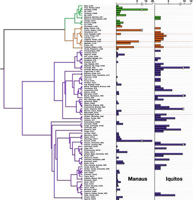 A test of the Geographic Mosaic Theory of Coevolution: investigating widespread species of Amazonian Protium (Burseraceae) trees, their chemical defenses, and their associated herbivore faunas